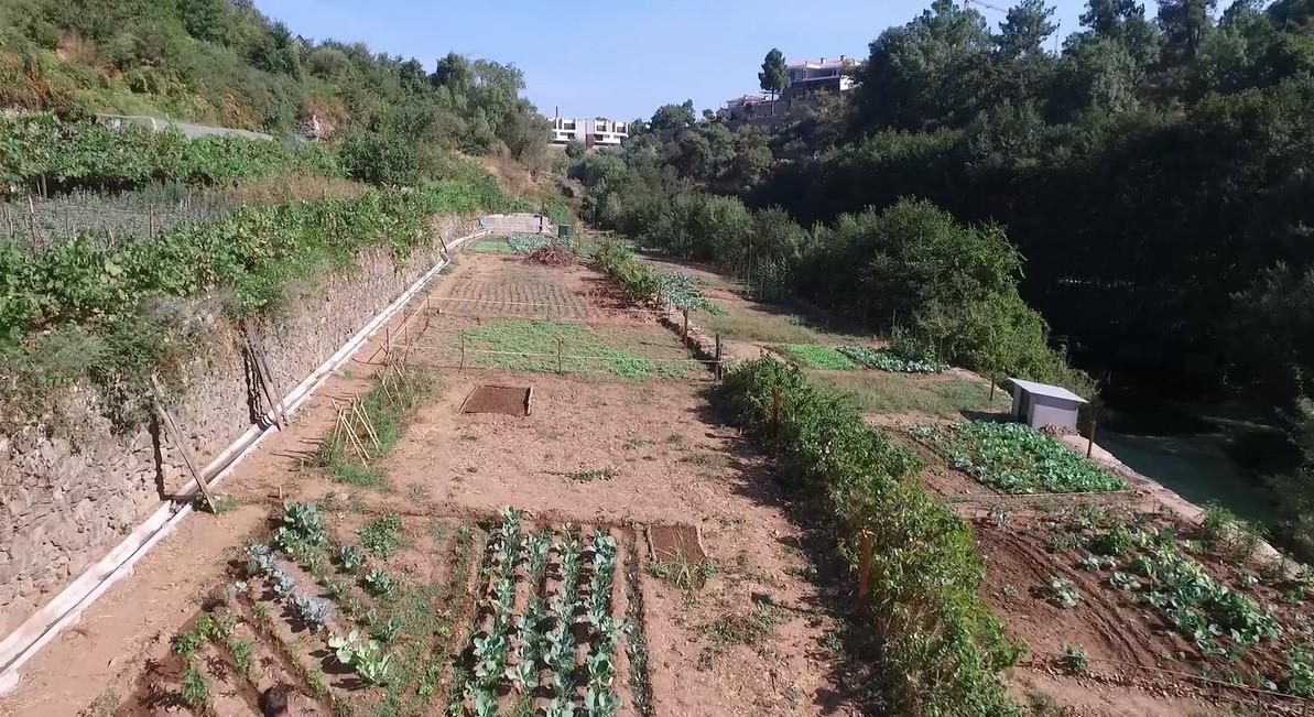 Abertura de procedimento para entrega de talhão das Hortas Urbanas 