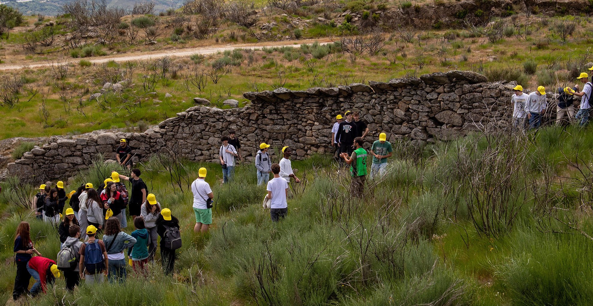SEMANA DO AMBIENTE 2025 | Dia Mundial do Ambiente – 5 junho